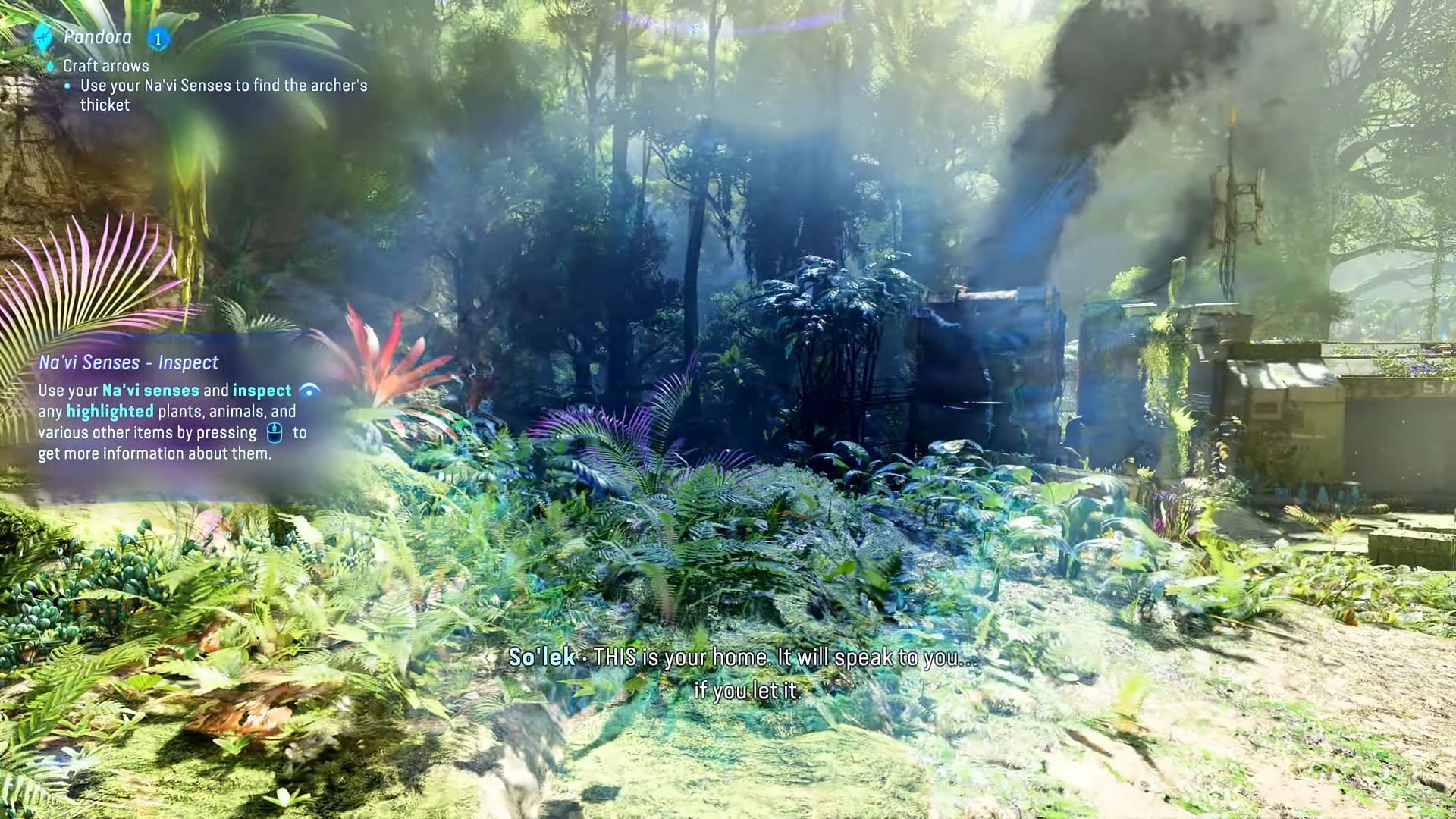 This is how the Na&#039;vi sense looks in the game (Image via Ubisoft/ TheRadBrad)