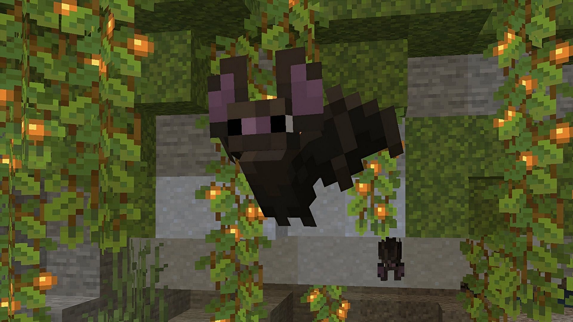 Bats received a facelift in Minecraft: Bedrock Edition version 1.20.50 (Image via Mojang)