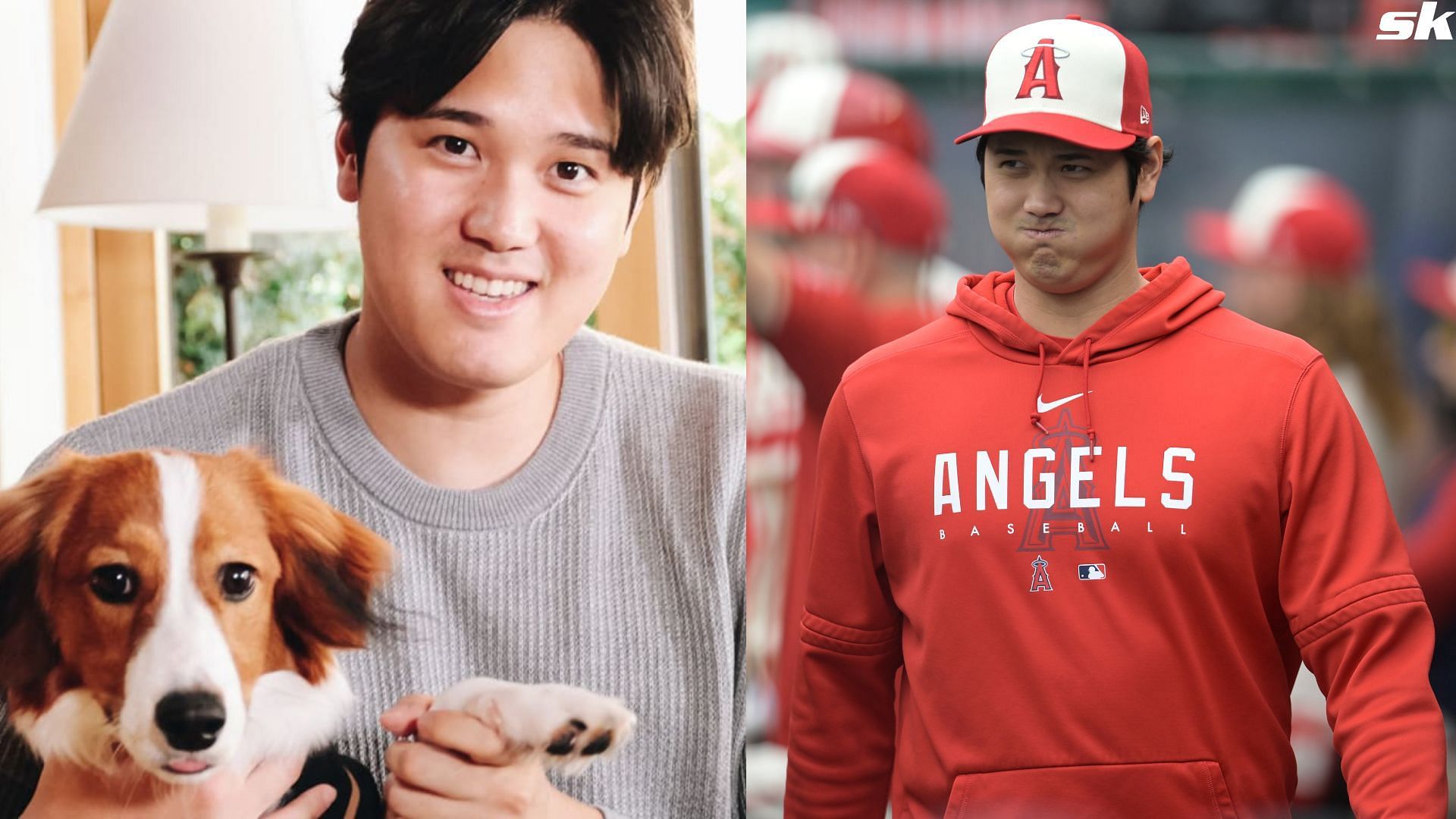 MLB Fans In Awe Of Shohei Ohtani As Japanese Phenom Reveals His Dog's ...