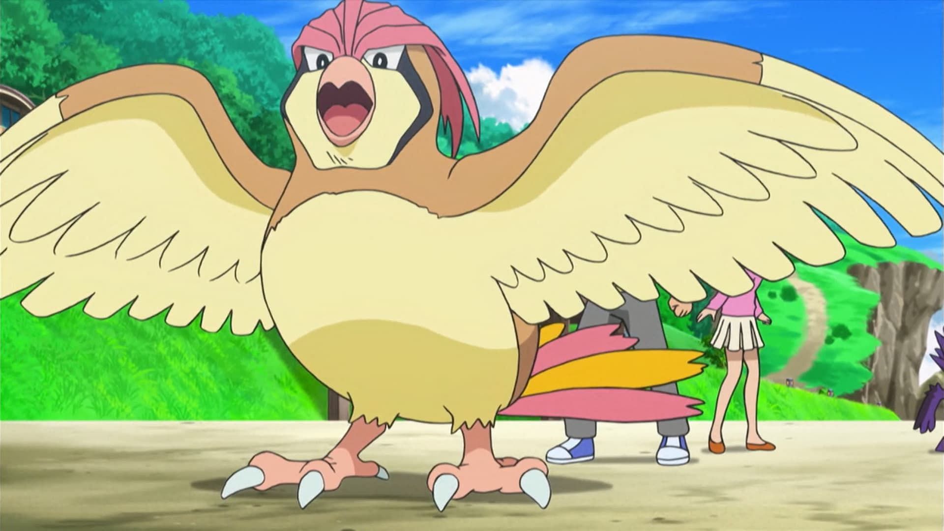 Pidgeotto from the anime. (Image via The Pokemon Company)