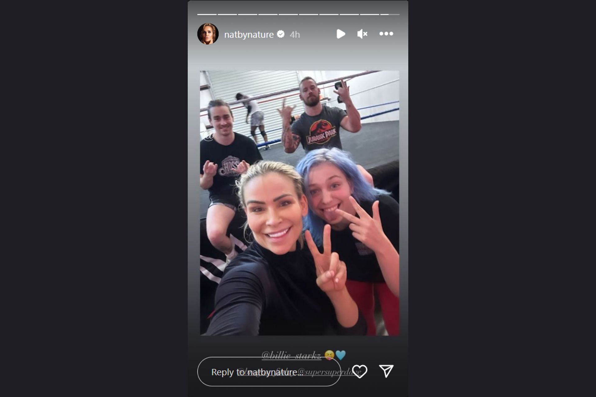 Screenshot of Natalya&#039;s Instagram story