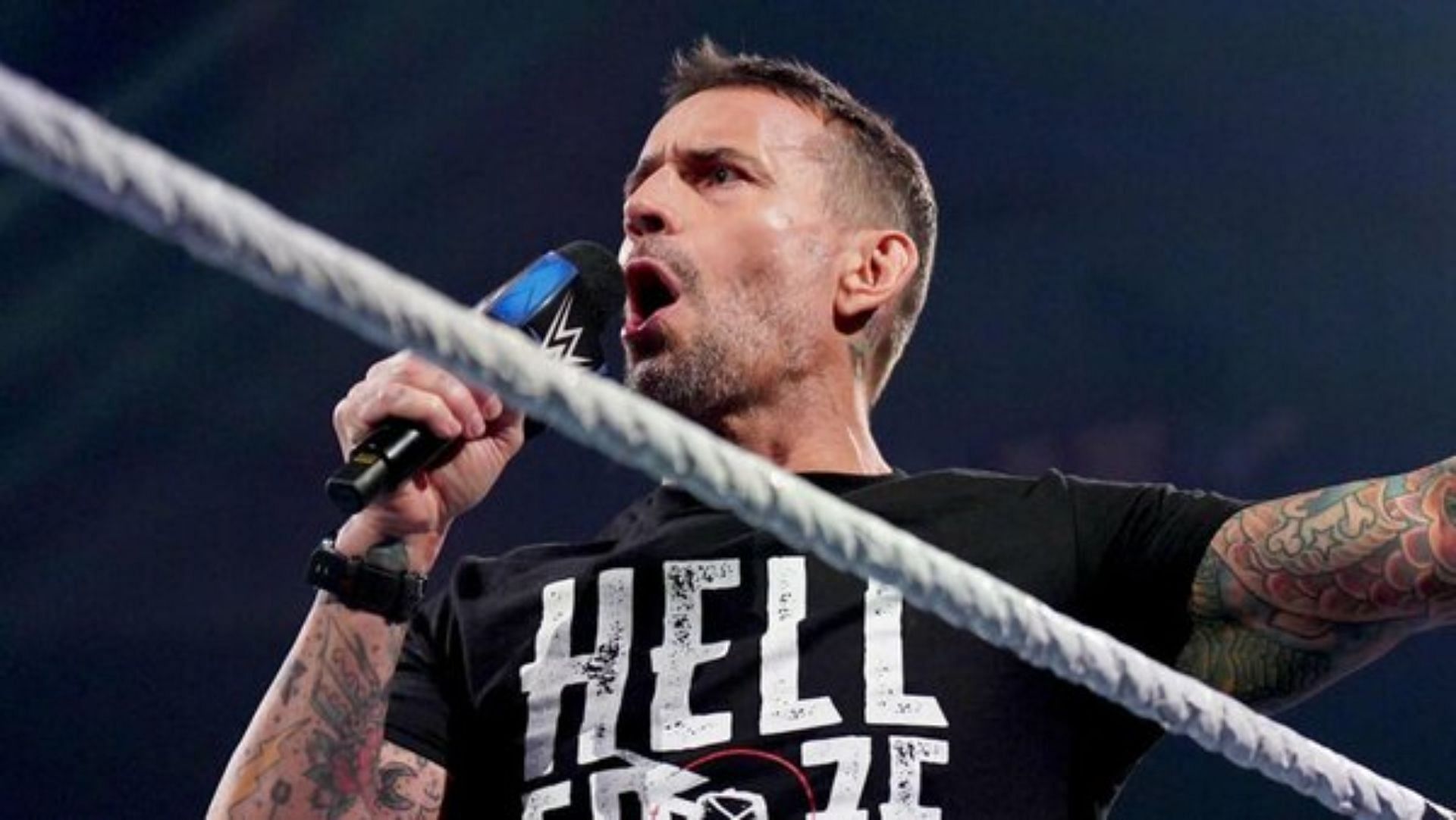What have you made of CM Punk