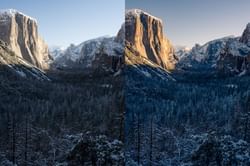 Adobe Lightroom guide: How to color balance