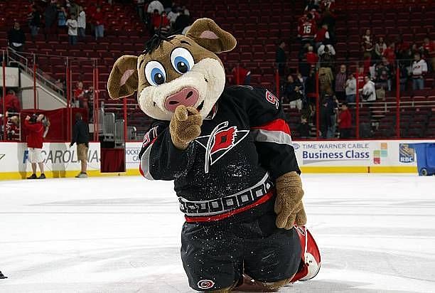 Stormy The Ice Hog. Source: Getty Images