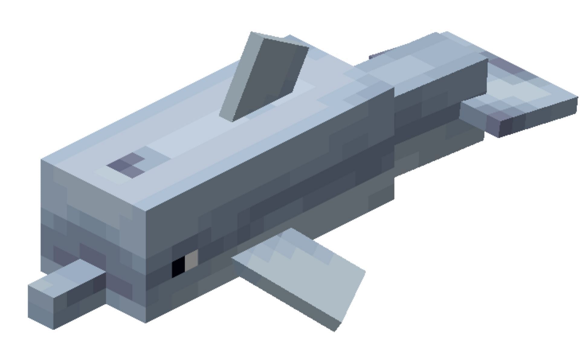 In-game model of the Dolphin (Image via Fandom)