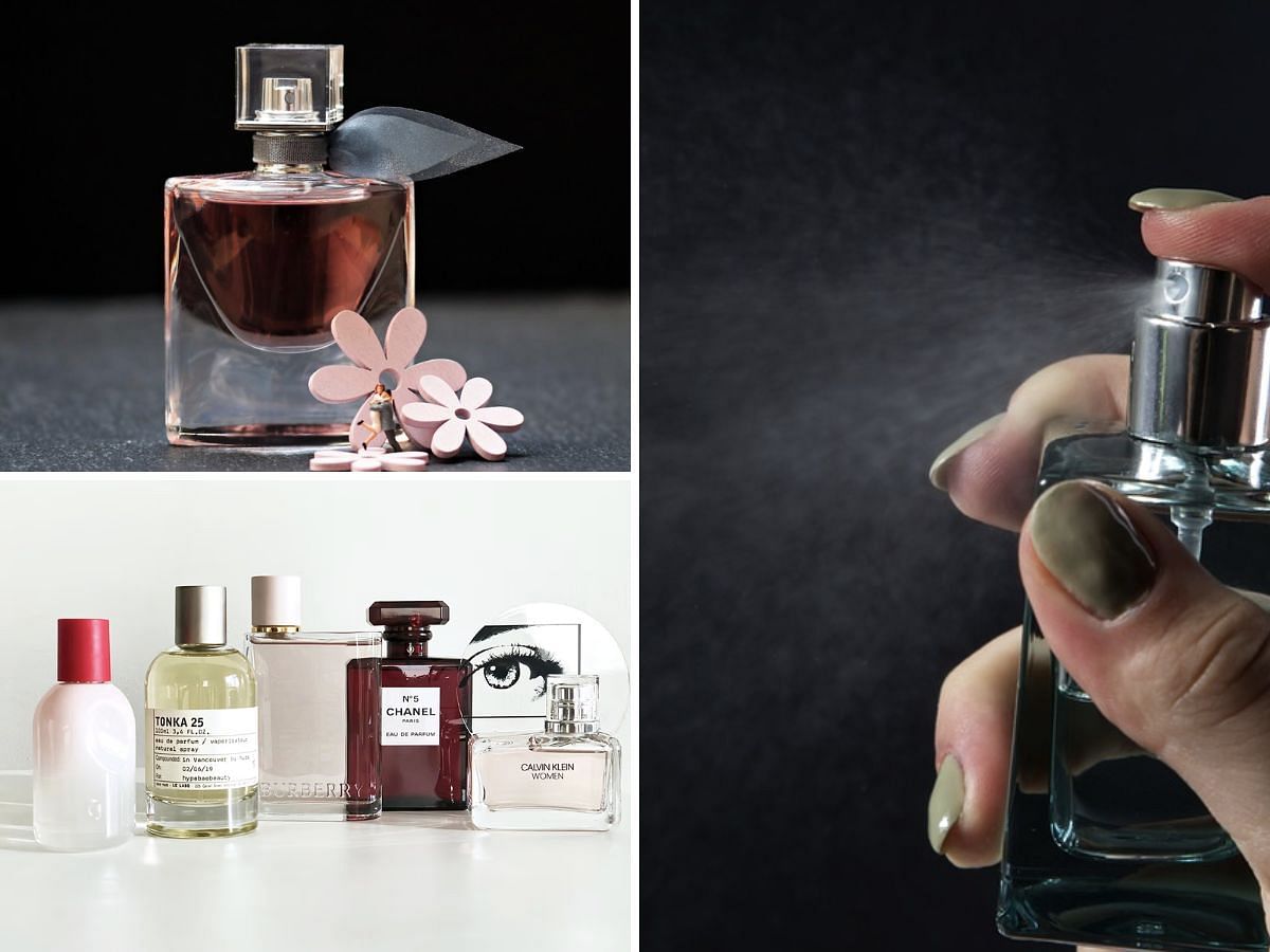 How to store perfumes safely 8 expert tips to know