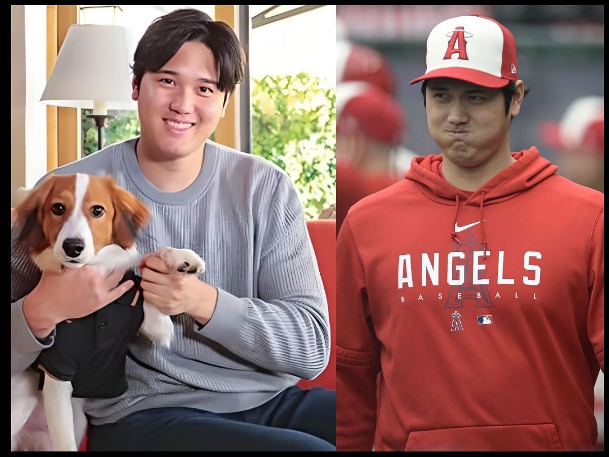 MLB fans go wild over bizarre theory of Shohei Ohtani