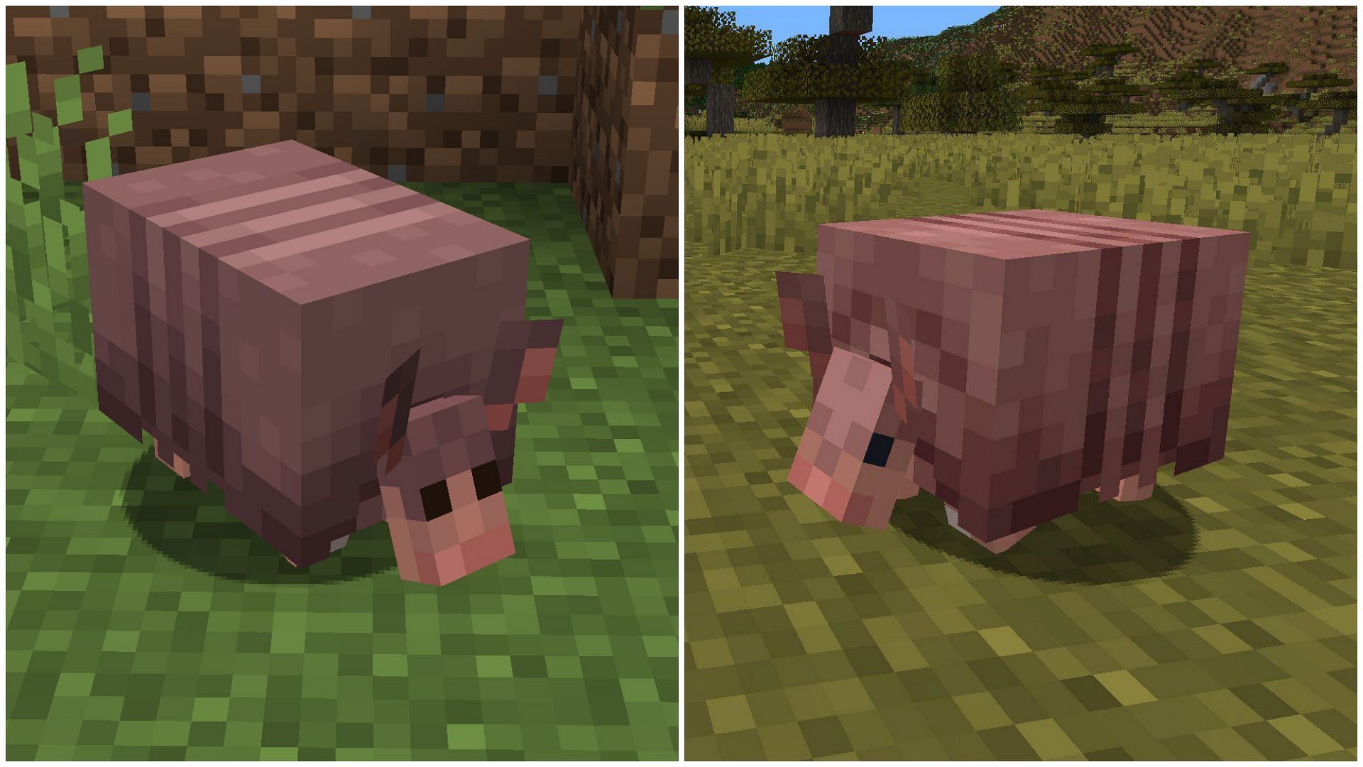 Minecraft Redditors react to Mojang Studios slightly changing armadillo texture (Image via Mojang)