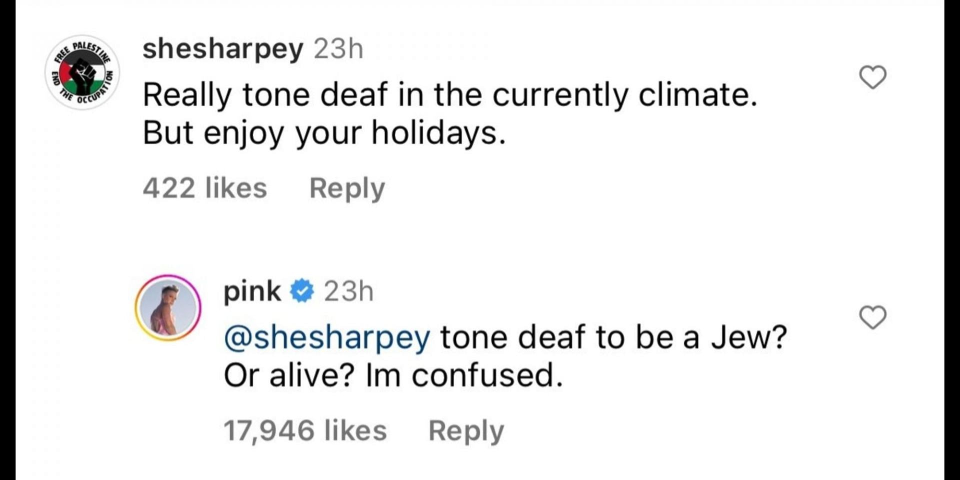 Commenter criticizes the singer for celebrating Hannukah. (Image via Instagram/@pink)