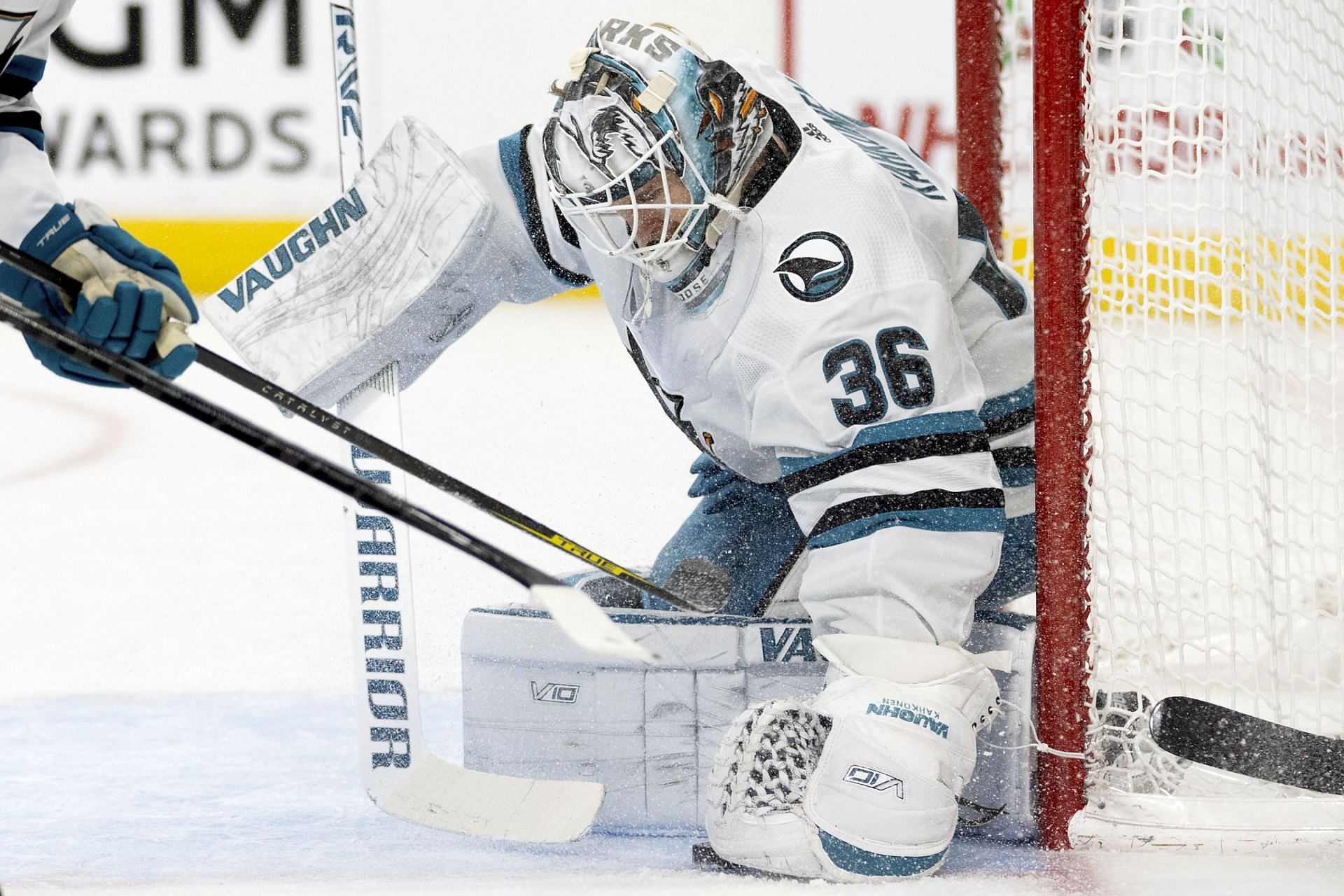 Kaapo Kahkonen of the NHL&#039;s San Jose Sharks