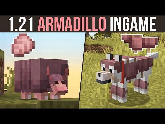 What do armadillo eat in Minecraft?