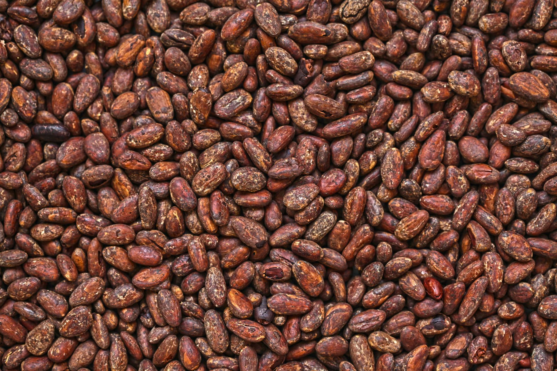 Cocoa (Image via Unsplash/Kristiana)