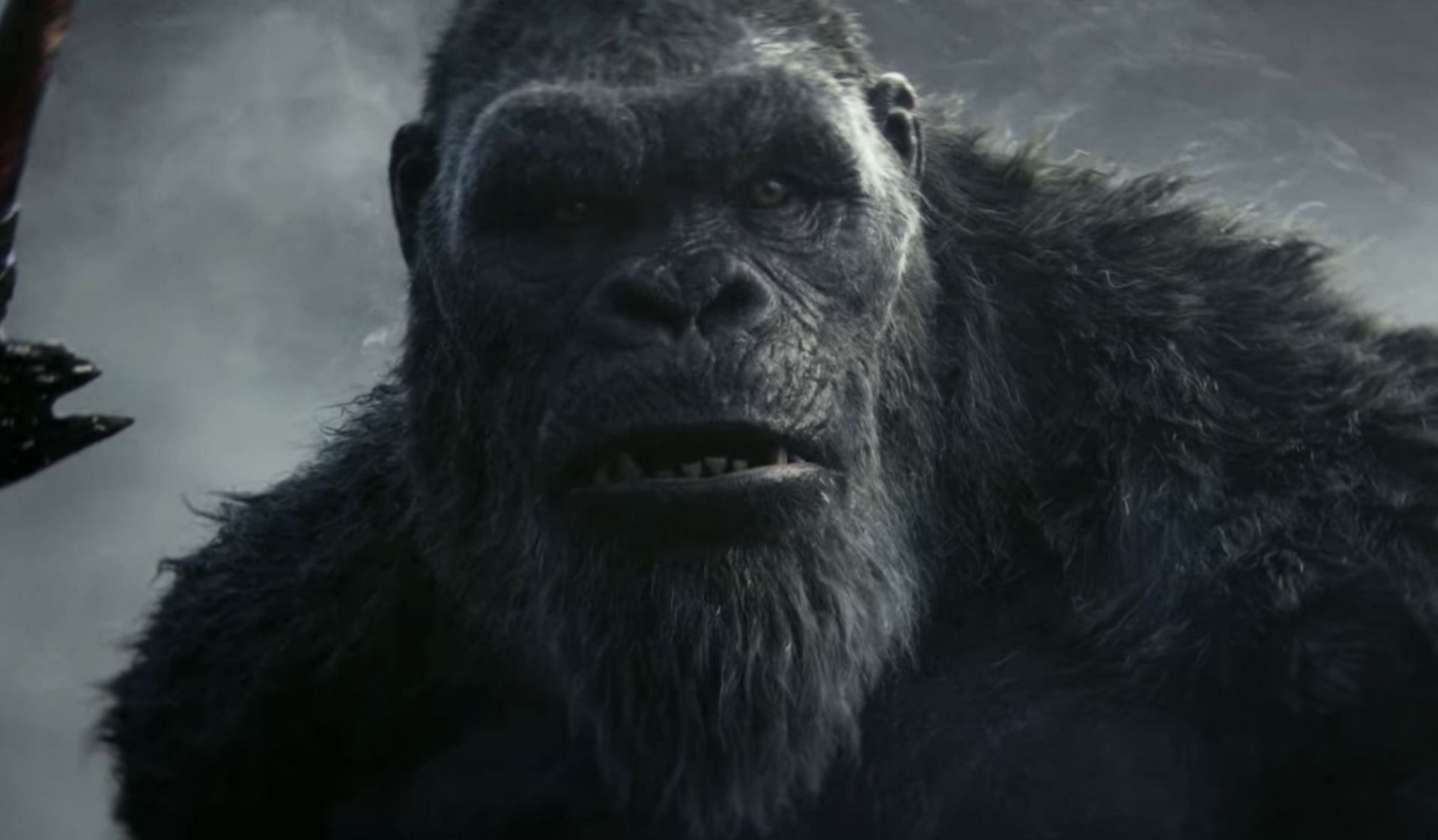 A still of Kong from the trailer of the movie (Image via Warner Bros. Pictures)