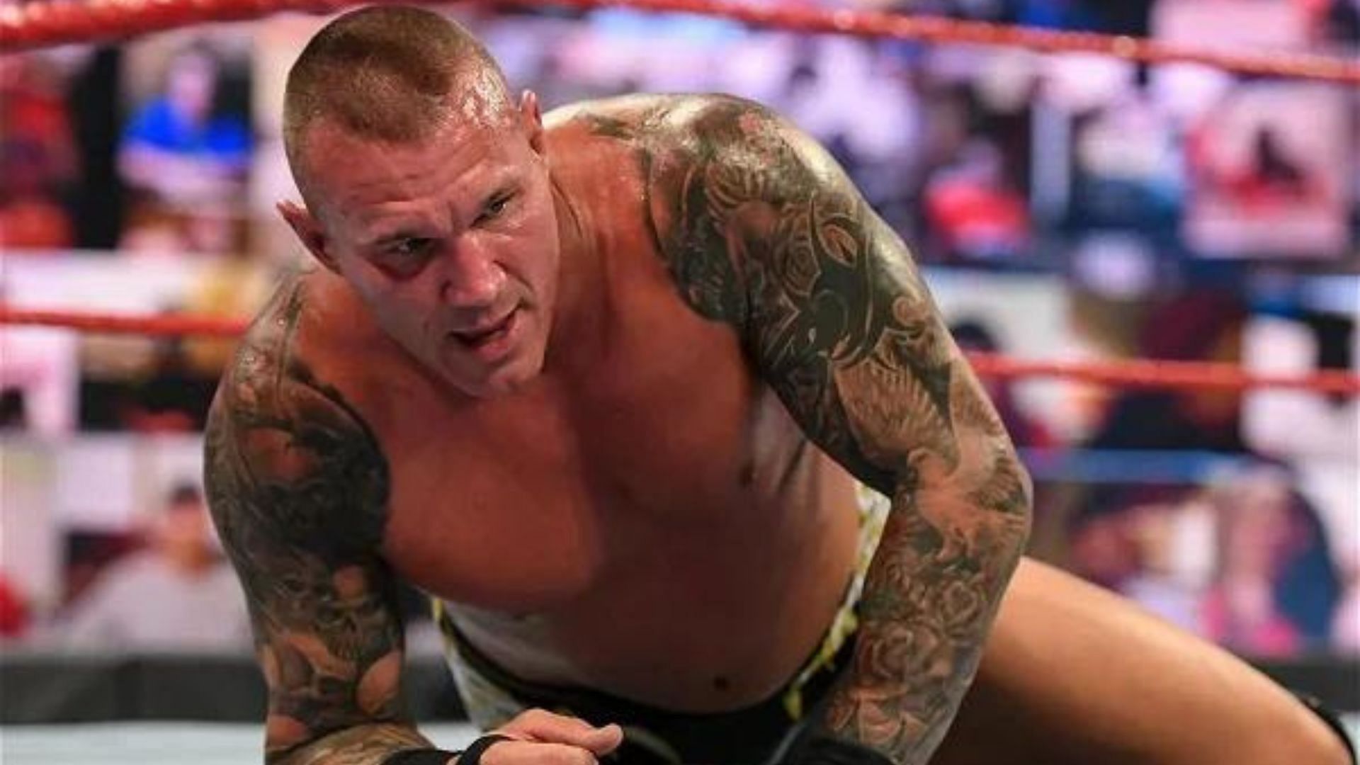 What does Randy Orton plan to do next in WWE?
