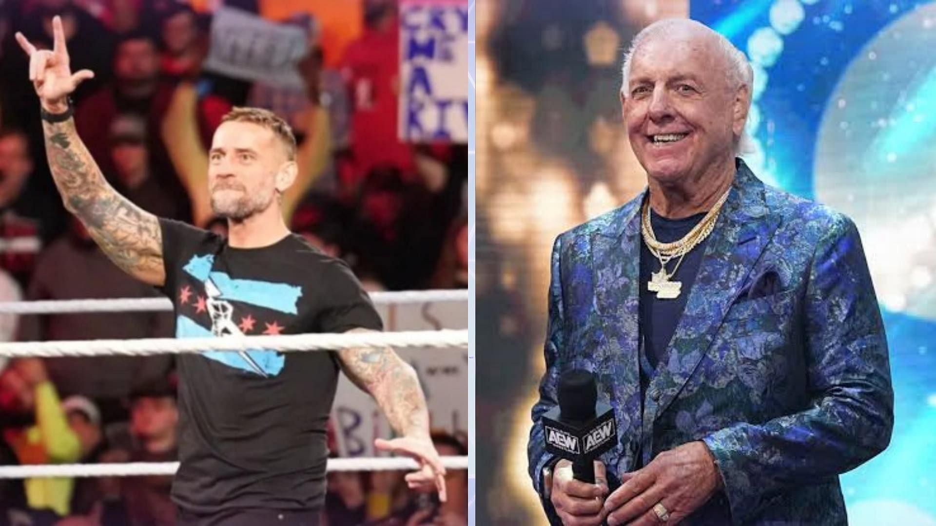 CM Punk and Ric Flair in picture