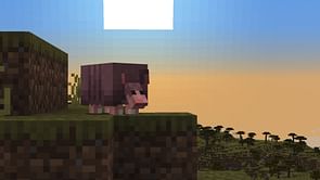 Minecraft armadillo guide: How to find, breeding, uses, and more