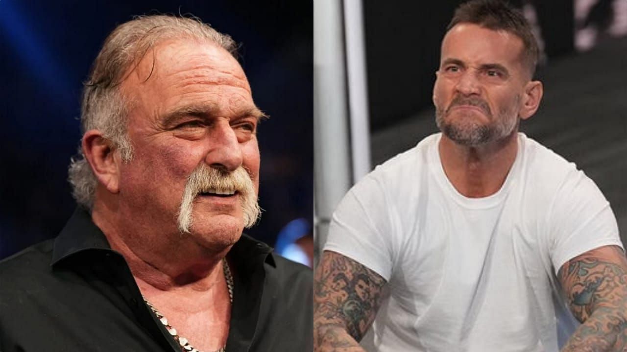 Jake Roberts (left), CM Punk (right)