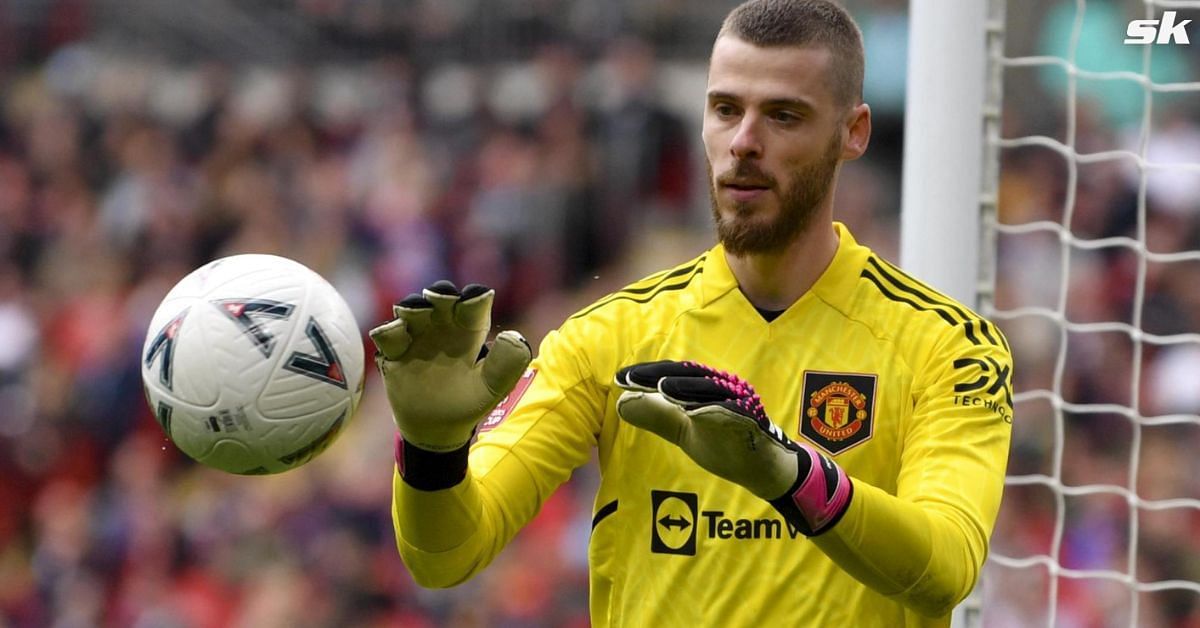 Pundit urges PL club to sign ex-Manchester United star David de Gea in January