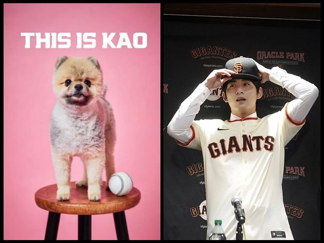 Jung Hoo Lee's adorable moments with pet dog triggers comparison with Shohei Ohtani - "Cuter than Decoy"