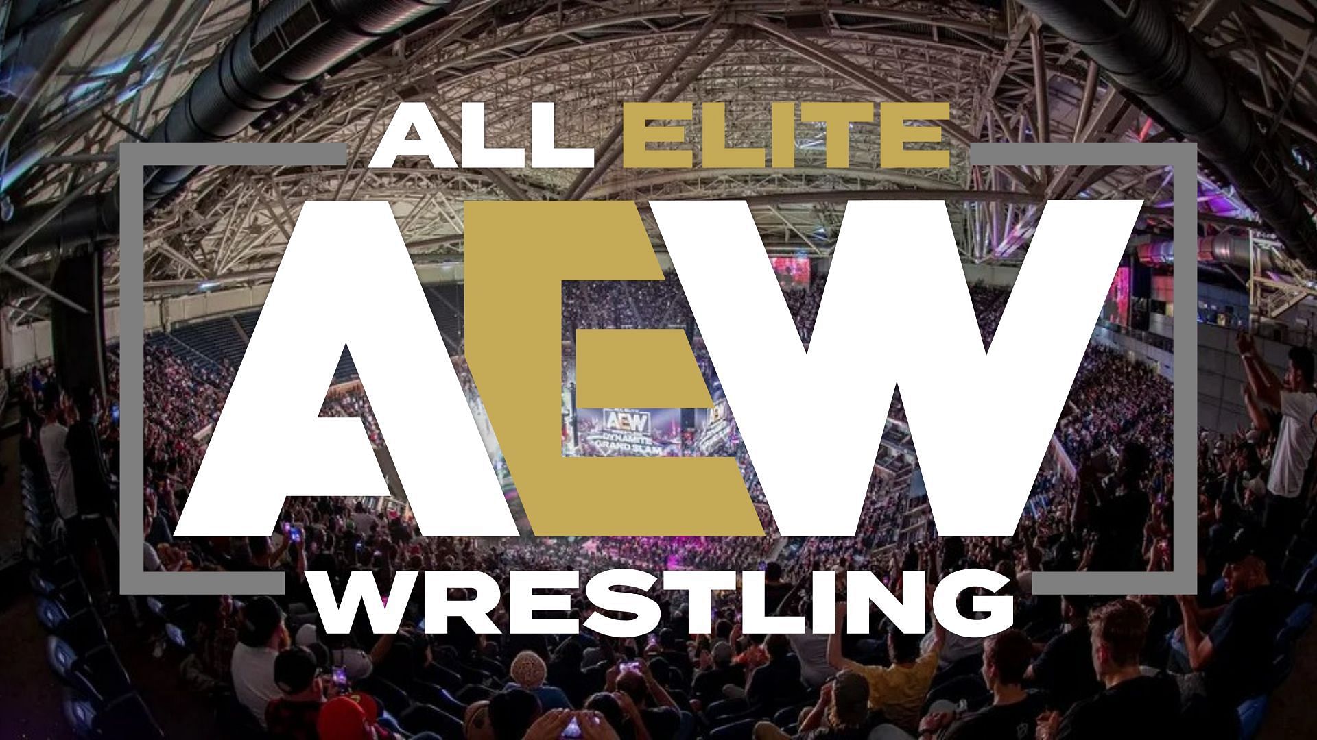 Why has an AEW not been wrestling as much this year?
