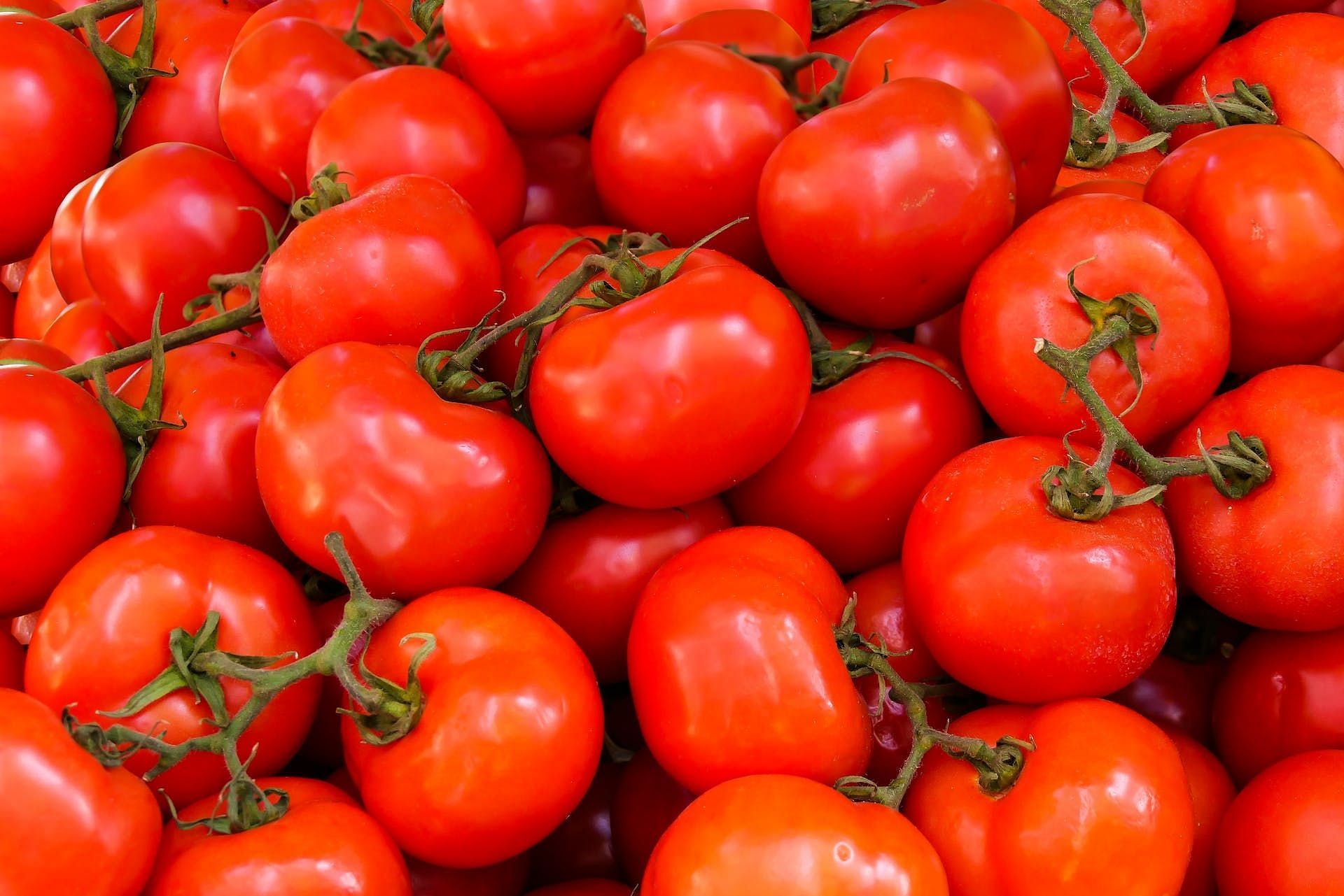 Tomatoes are high in water content (Image via Pexels/Pixabay)