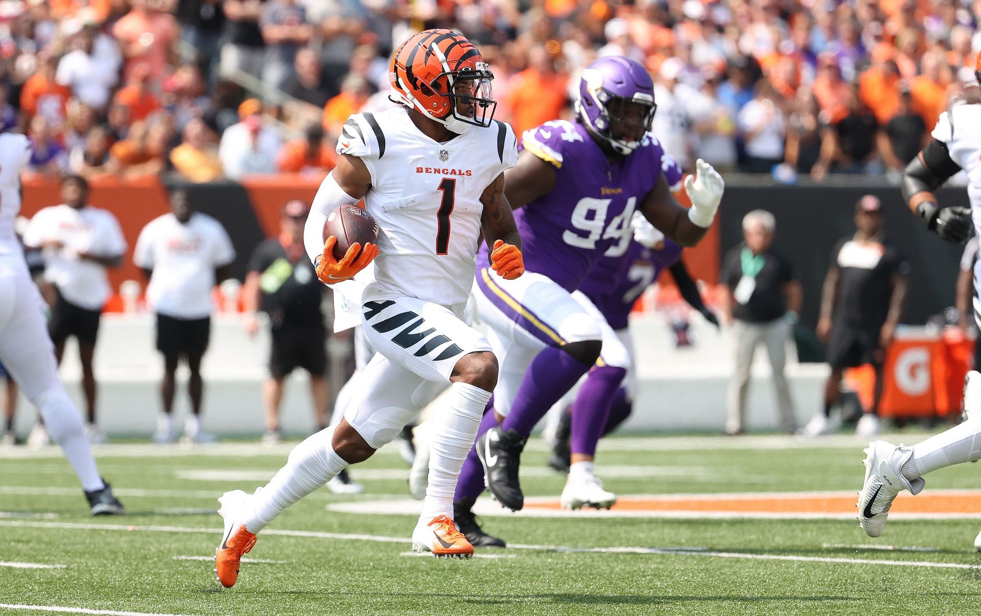 Vikings Vs Bengals Inactives: Who Is Out For Week 15 Showdown?