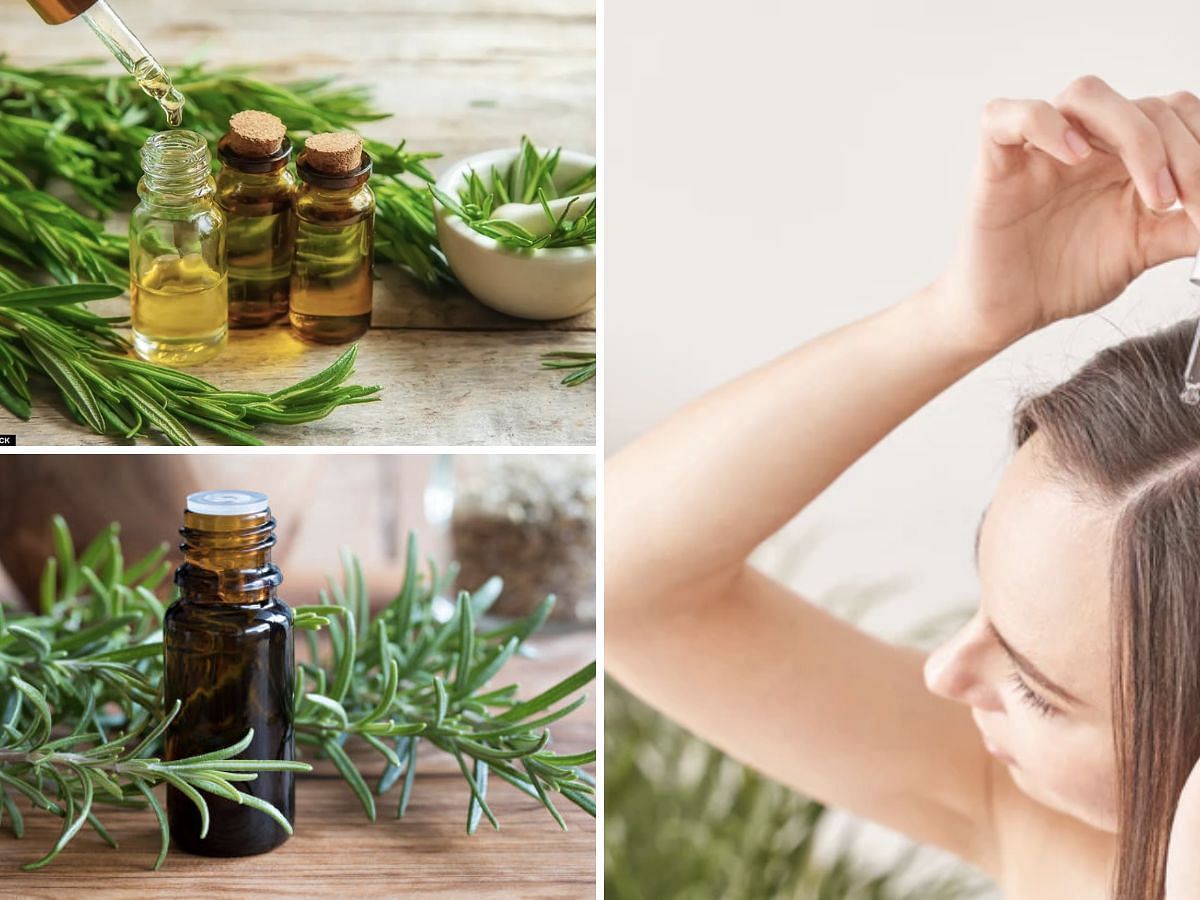 Using rosemary for hair growth (Image via Sportskeeda)