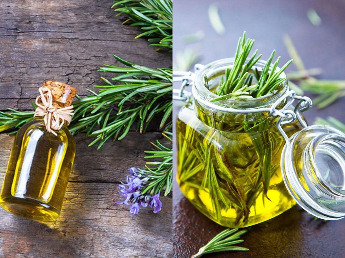 Rosemary Oil for hair growth (Image via Sportskeeda)