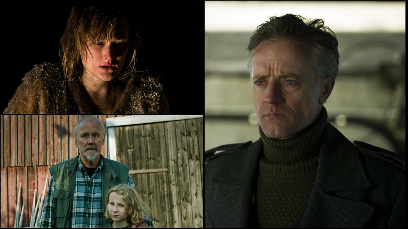 6 Nordic thrillers that will keep viewers in suspense (Image via IMDb)