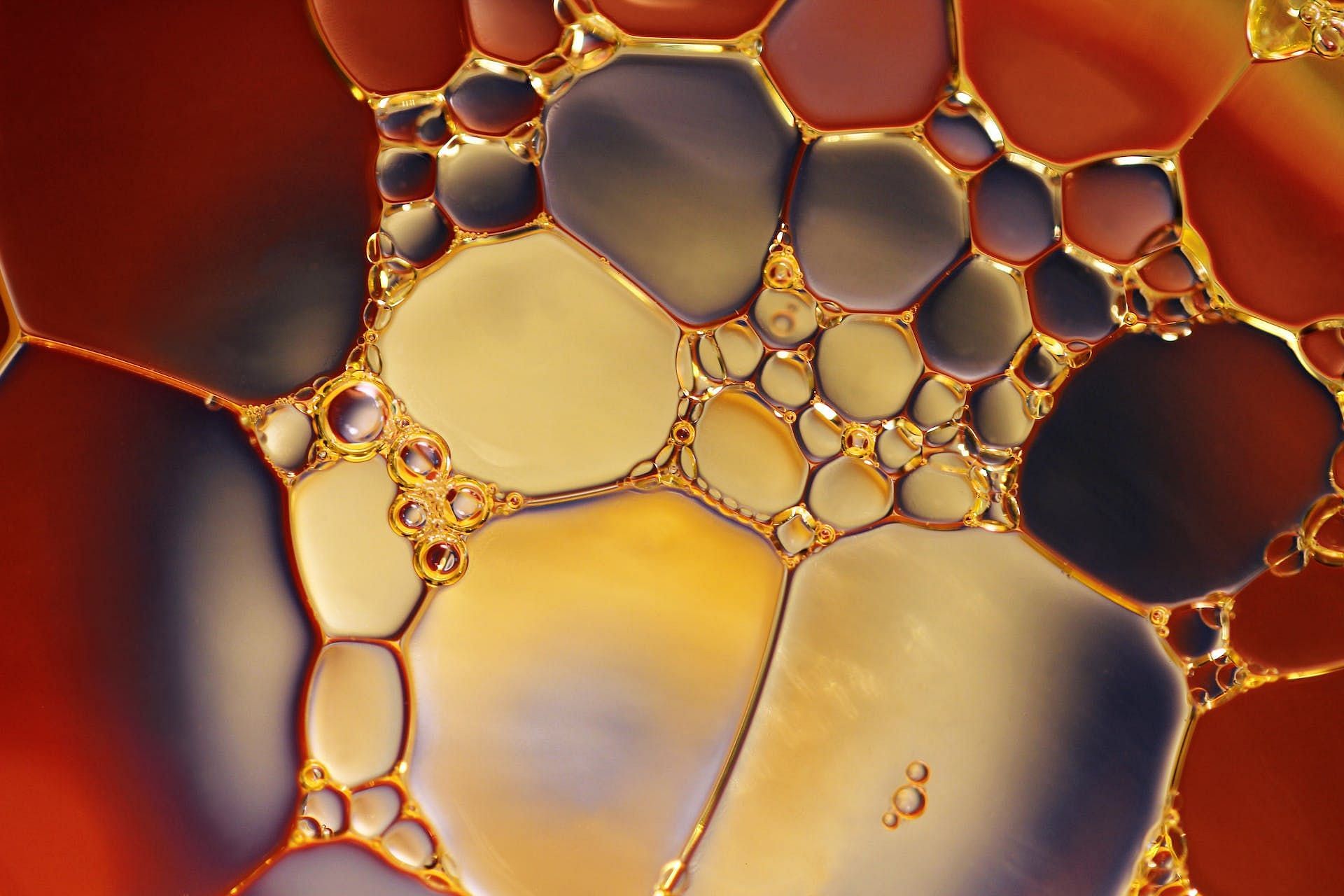 Algal Oil (Image via Pexels/ Pixabay)