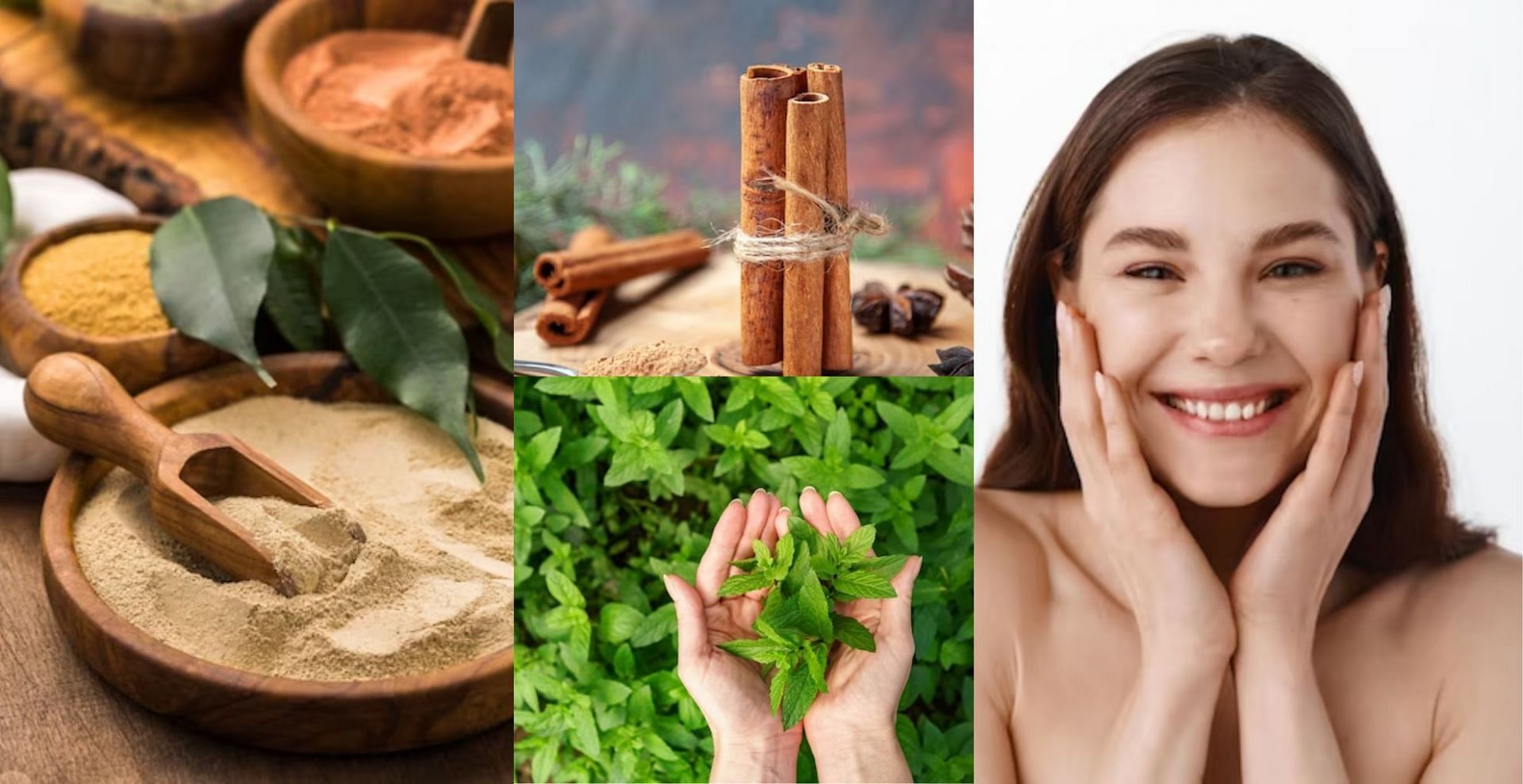 8 best herbs that prevent skin aging: Rosemary, Turmeric, Indian Ginseng and more