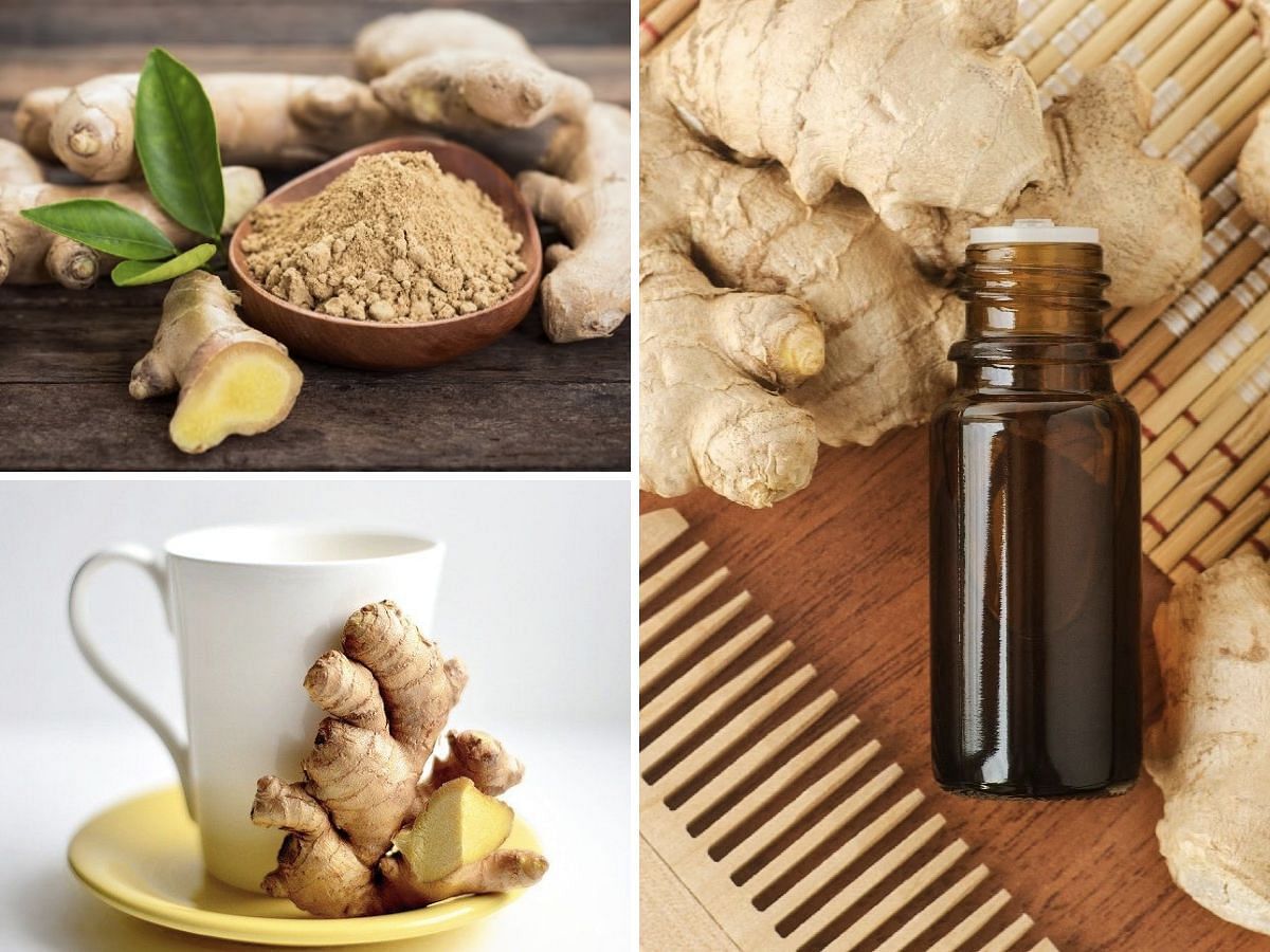 Ginger and its significant properties for hair growth (Image via Sportskeeda)