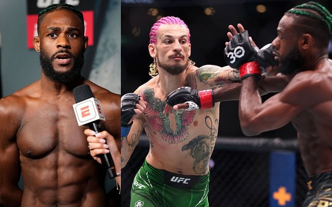 "In hindsight, I should have waited” -Aljamain Sterling shares displeasure with PPV numbers from Sean O'Malley fight
