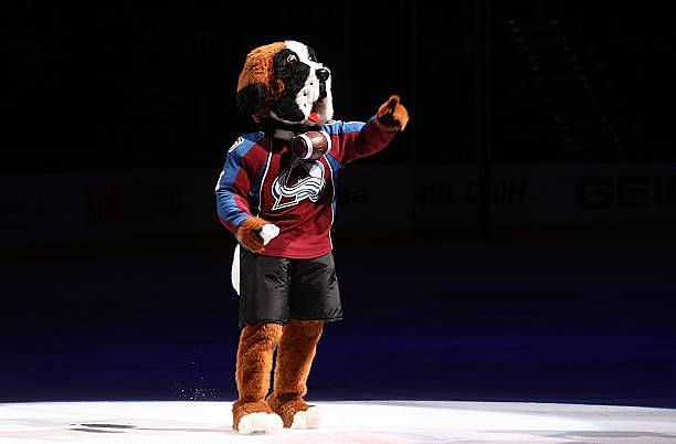 Colorado Avalanche Mascot Bernie the St. Bernard