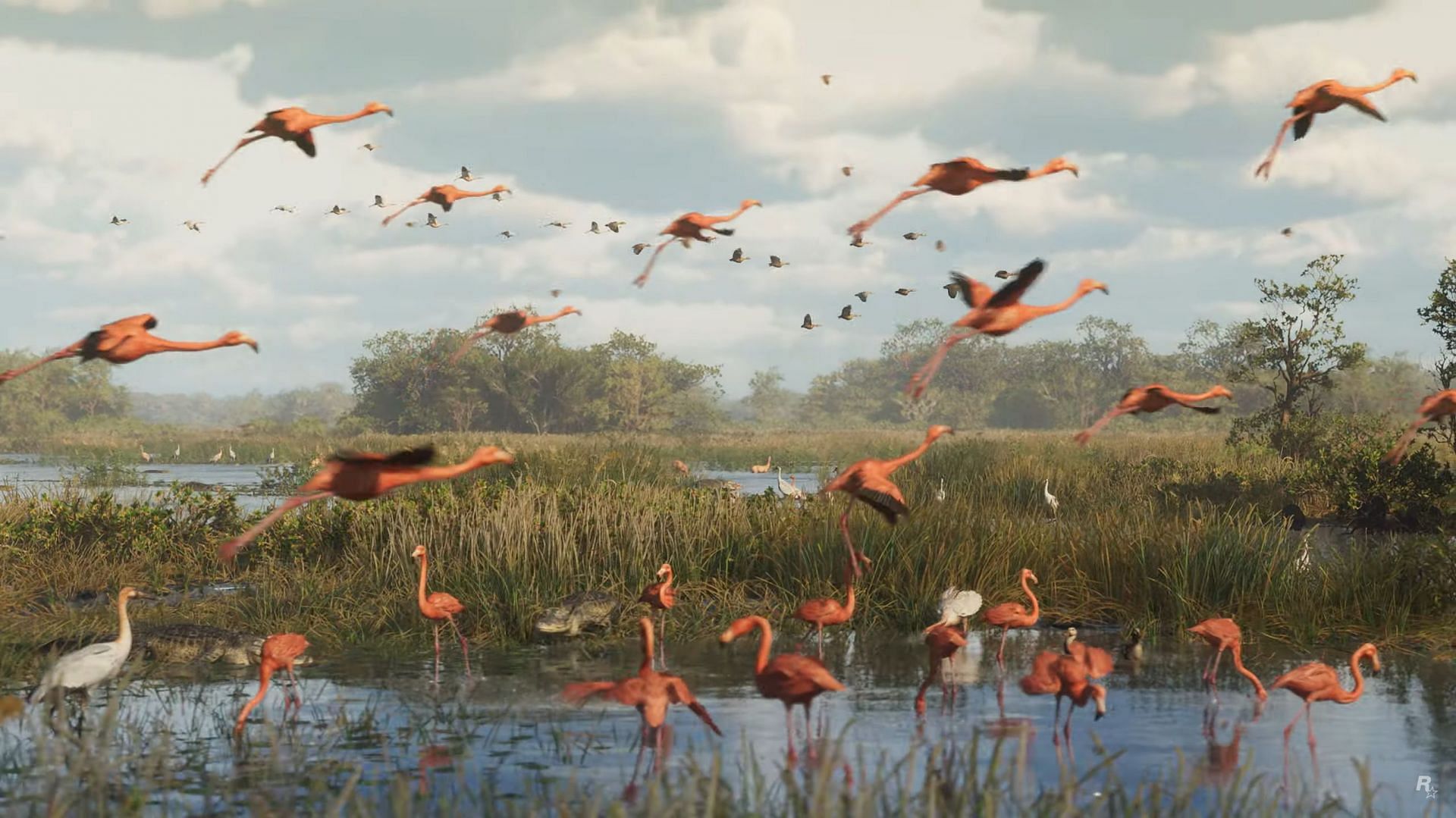 Birds that were seen in the trailer (Image via Rockstar Games/YouTube)