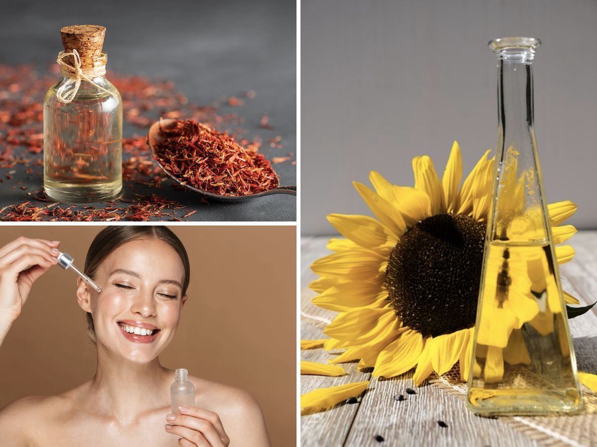 Safflower oil for winter skincare Uses, benefits, side effects, and