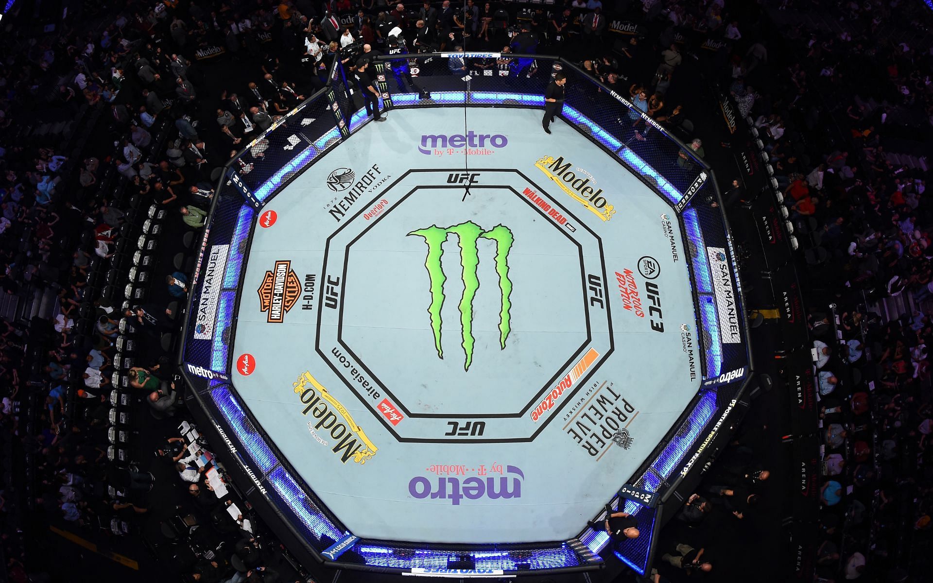 The UFC octagon [Photo Courtesy of UFC website]