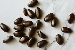 Is apple seed oil good for the skin? Ways to add it to your beauty regime