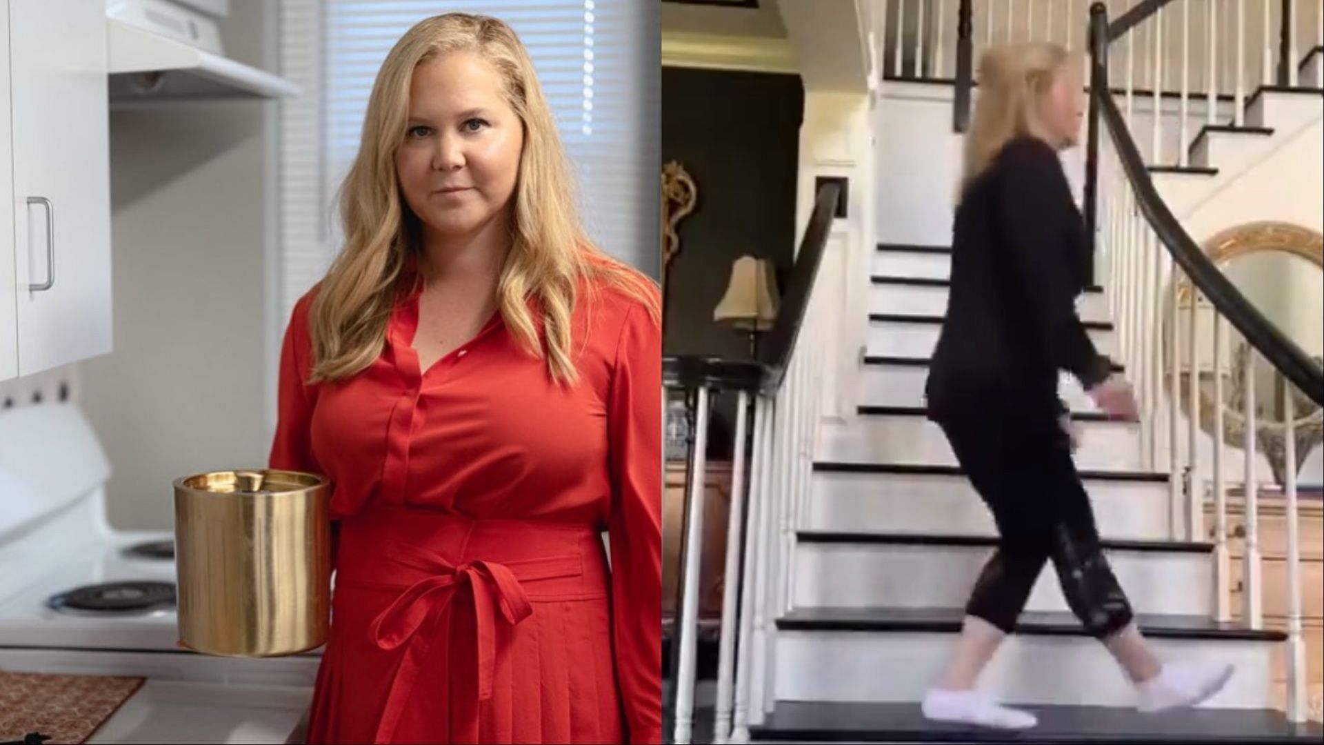 Claims of Amy Schumer being hospitalized debunked (Image via LyricVault/X and amyschumer/Instagram)