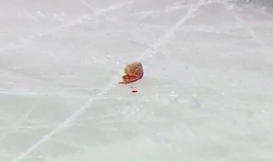 Goodrow&#039;s tooth on the ice