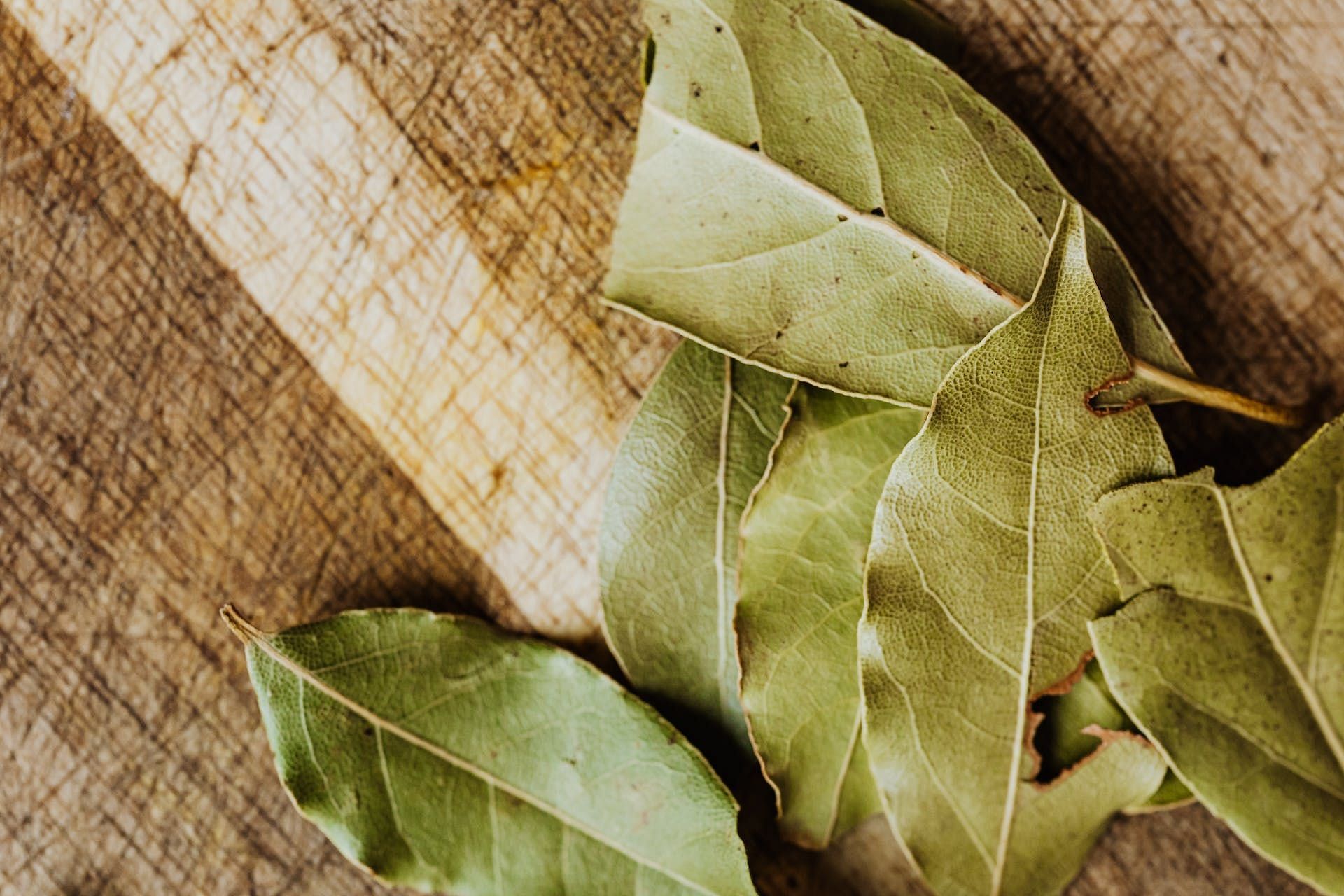 Top 8 benefits of bay leaf. (Image via Pexels/Karolina Grabowska)