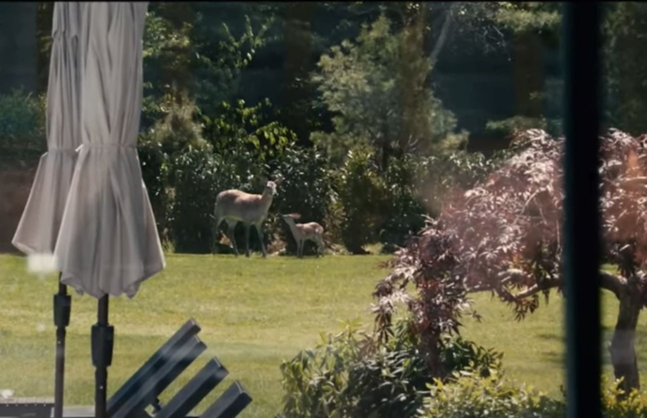 What do the deer mean in Leave the World Behind? Symbolism explained