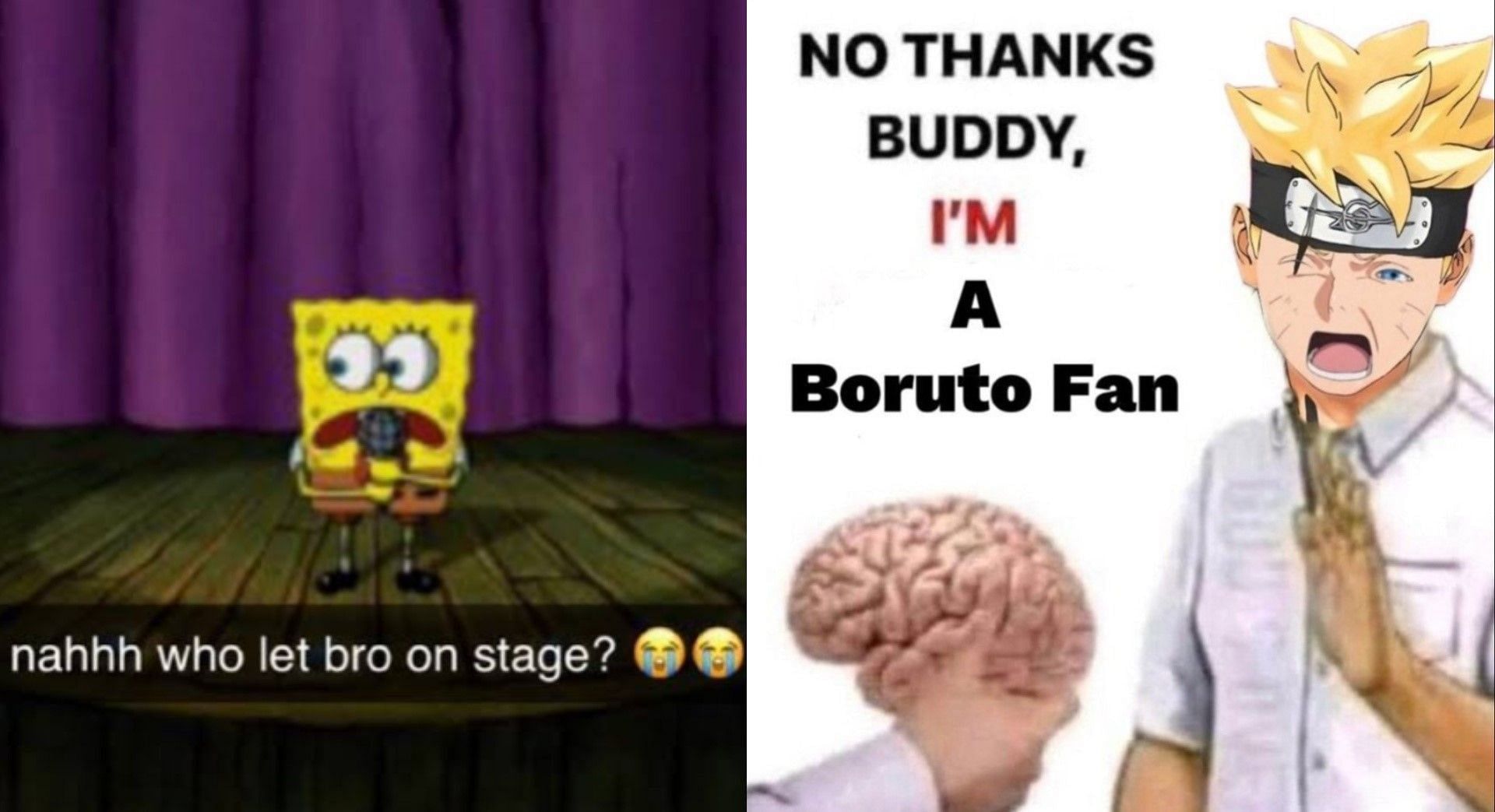 Fans create a host of memes, making fun of the Boruto fan (Image via X/@ZaynRiyaz3 and @Shaunvictorm)