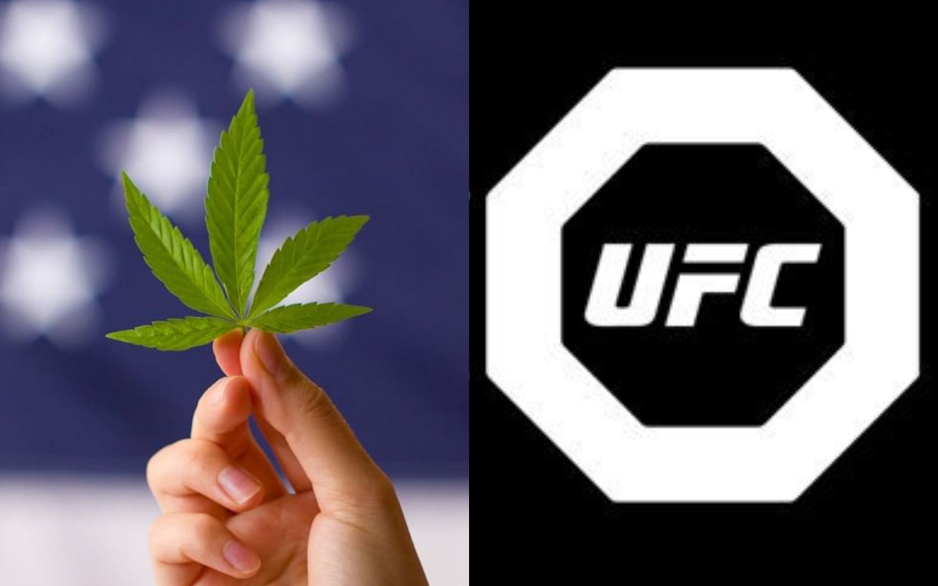 Former UFC champion gives honest opinion about legalizing marijuana (left) [Image courtesy @NowThis Weed on Instagram]