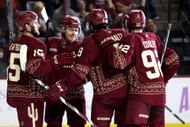 Arizona Coyotes
