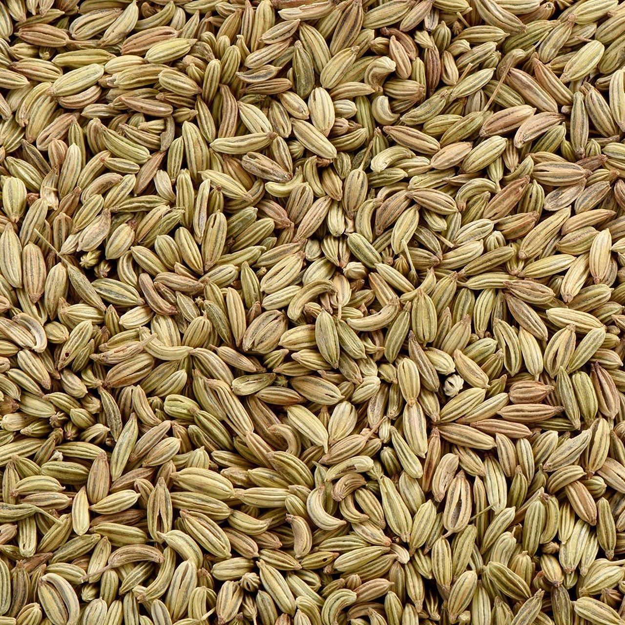 Fennel Seed (Image via Freepik)