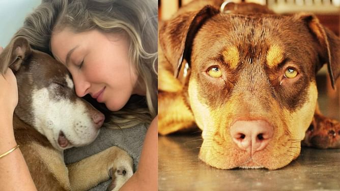 IN PHOTOS: Tom Brady, ex-wife Gisele Bundchen mourn death of ‘little angel’ Lua