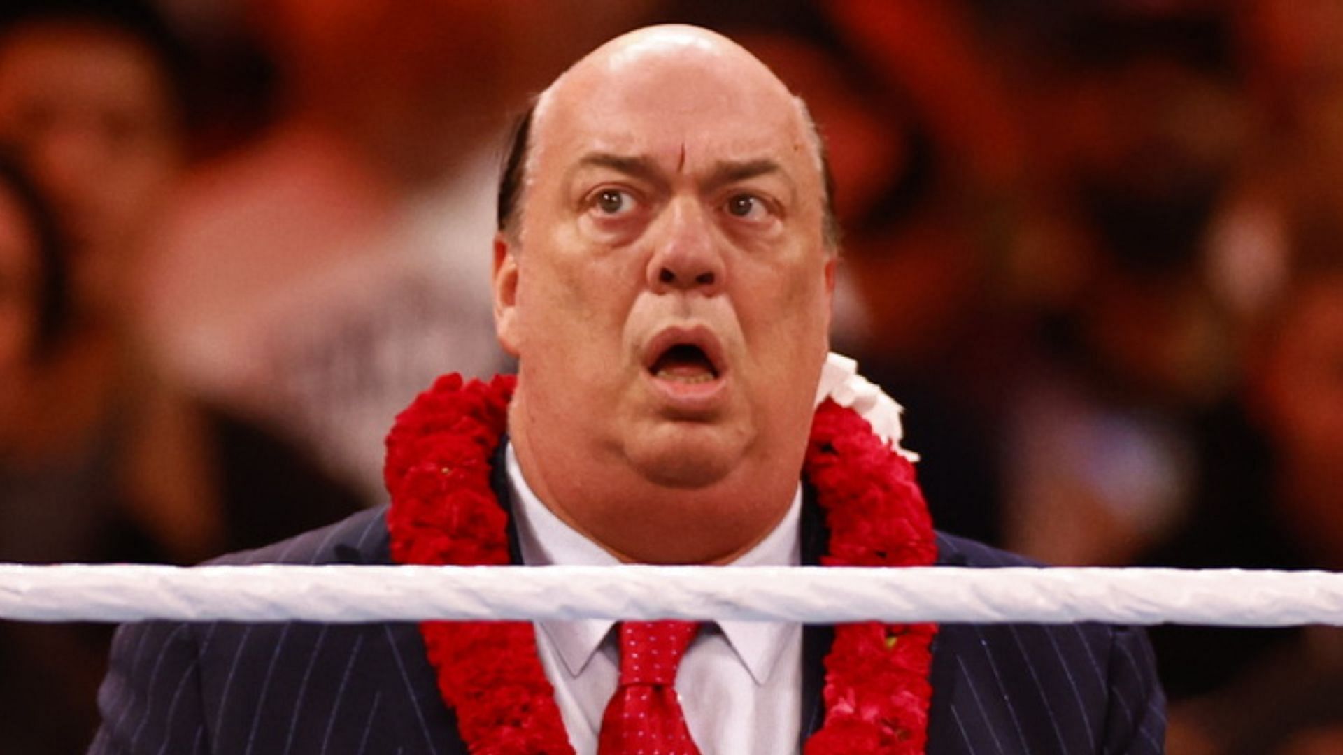 The Wiseman of WWE, Paul Heyman