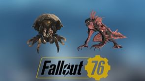 Where to find Mirelurks in Fallout 76