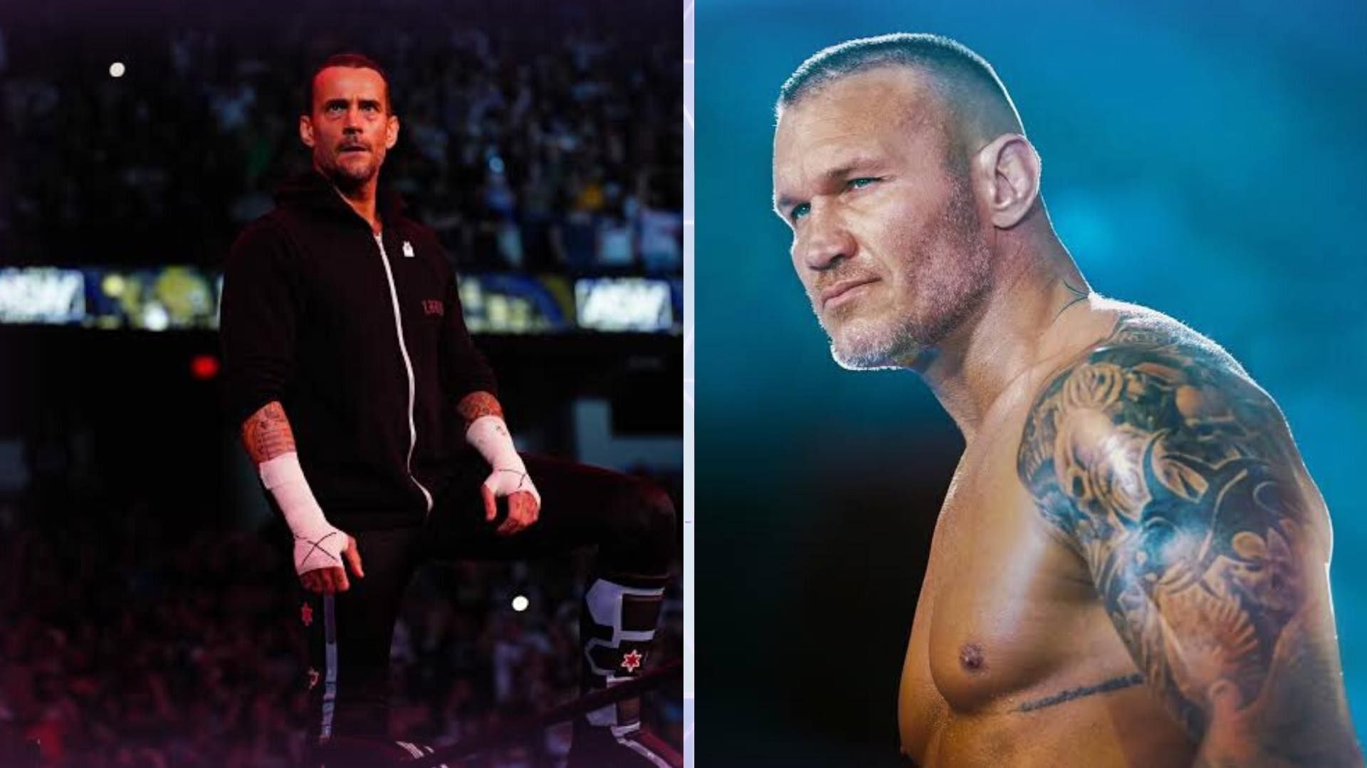 CM Punk and Randy Orton